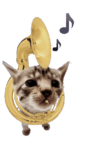 Elgatito tuba